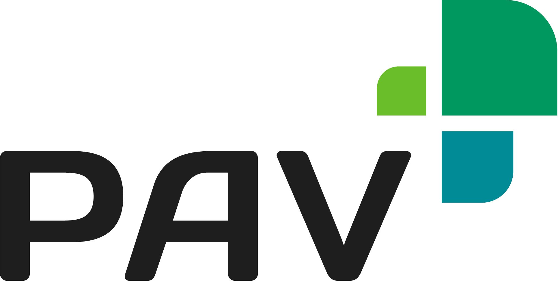 Logo_PAV